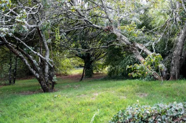 Parc Floral de Bordeaux (17).